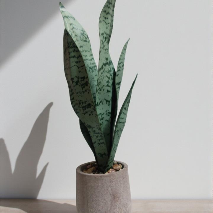 Artificial Snake Plant – Stylish, Evergreen Home & Office Décor