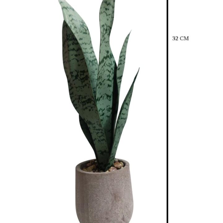 Artificial Snake Plant – Stylish, Evergreen Home & Office Décor